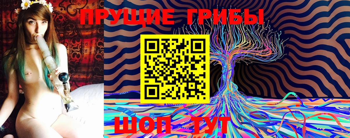 Псилоцибиновые грибы GOLDEN TEACHER  сколько стоит  Соликамск  Вход с VPN 